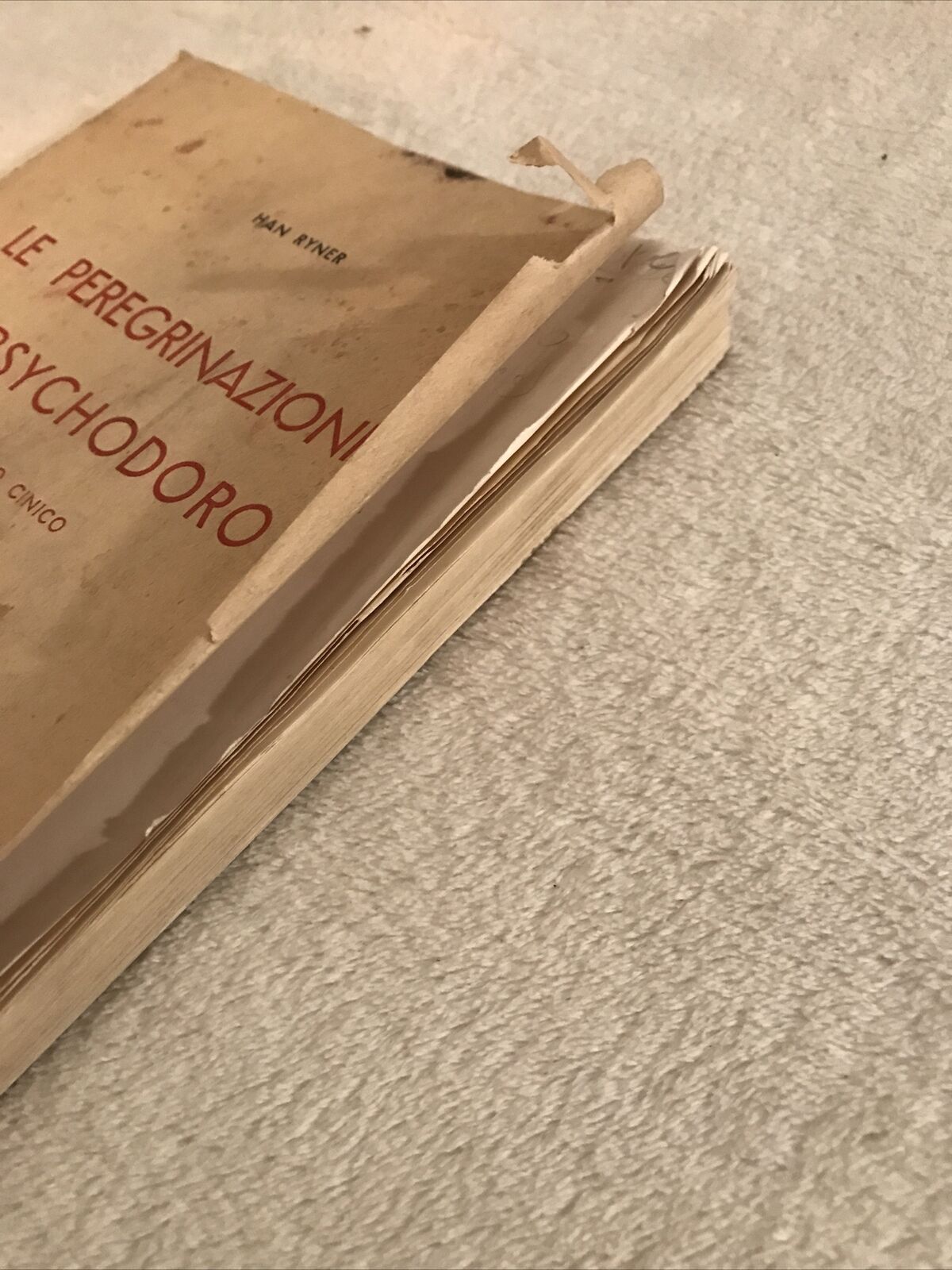 LE PEREGRINAZIONI DI PSYCHODORO, Han Ryder. Filosofo Cinico. Mutina edizioni