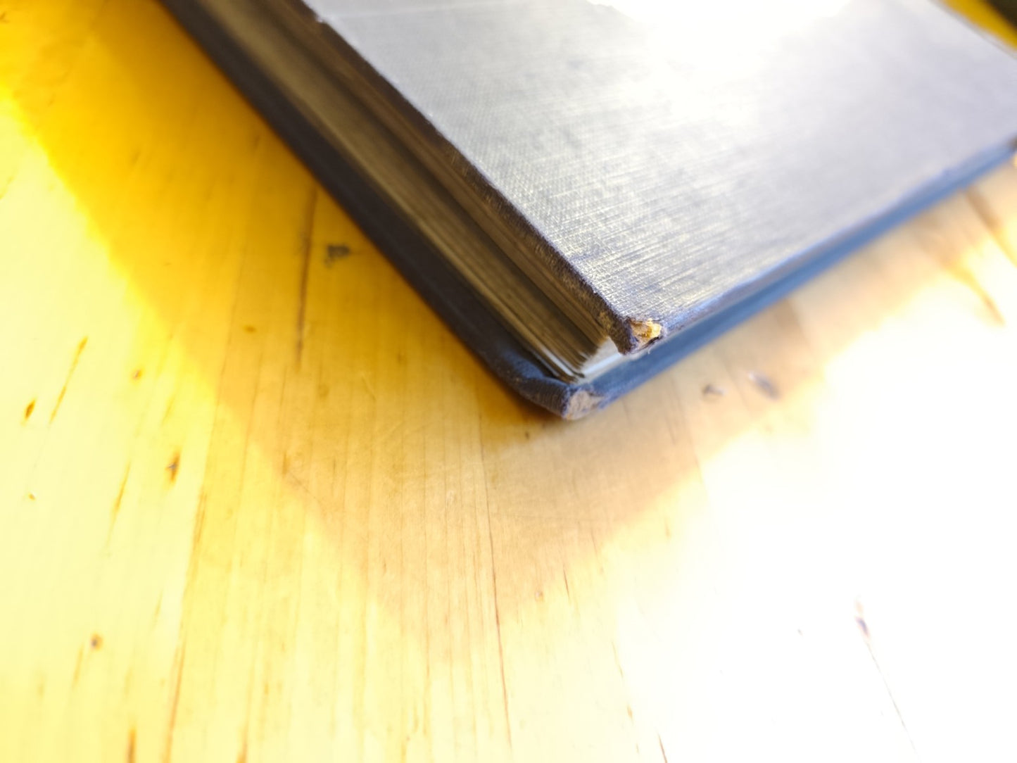 La Galleria degli Uffizi Corrado Ricci Istituto d'Arti Grafiche Bergamo 43 tavv.