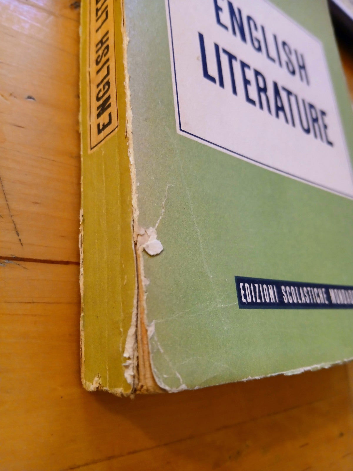 English literature - Piero Rebora - edizioni scol. Mondadori 1952