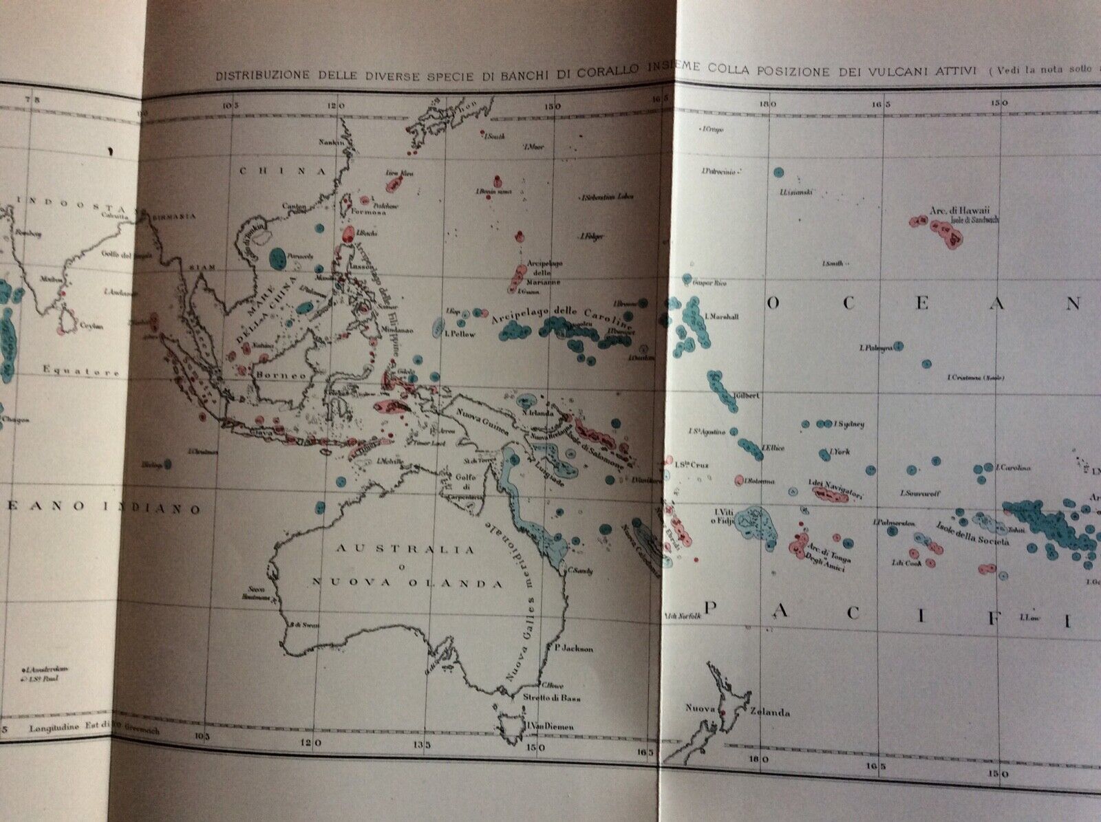 SULLA STRUTTURA DISPOSIZIONE DEI BANCHI DI CORALLO, DARWIN, UNIONE TIPOGRAFICO