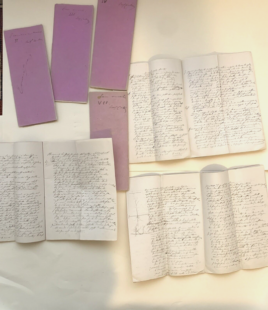 Prof. Gaetano Cantoni ?.  Appunti manoscritti di un suo studente ECONOMIA RURALE