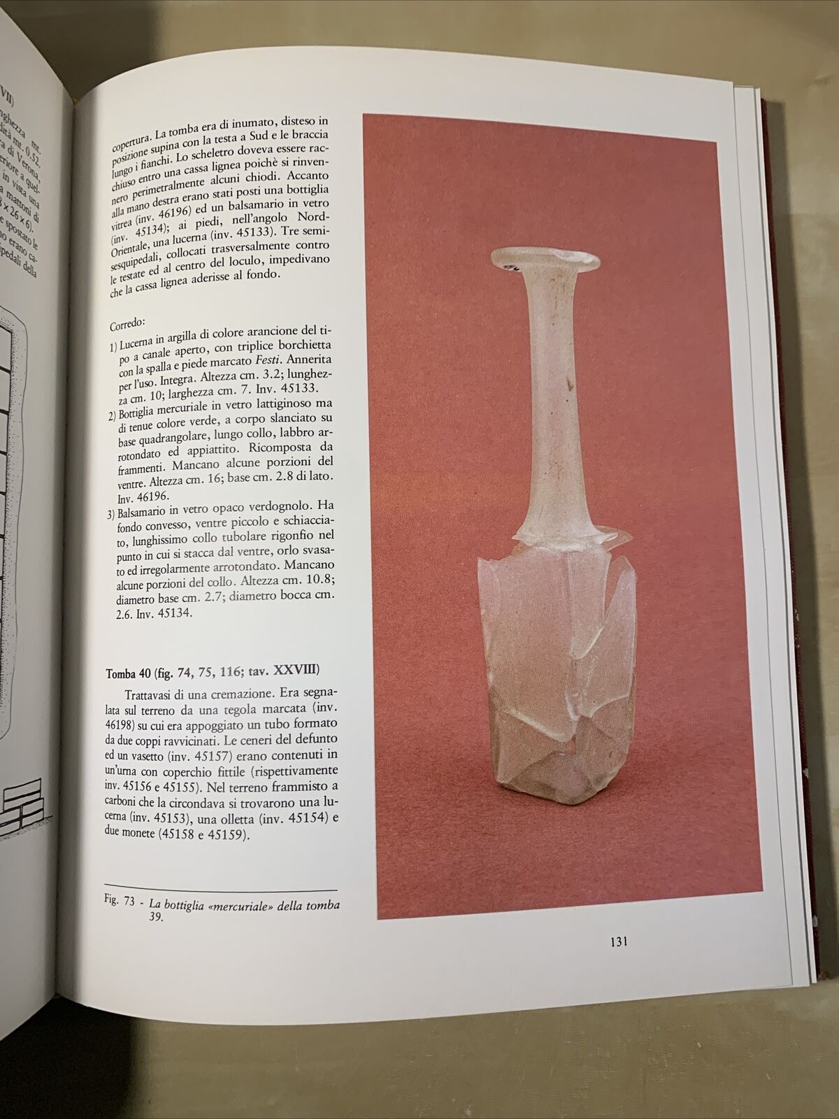VOGHENZA Una Necropoli di età romana nel territorio Ferrarese, 1984 AA.VV. #