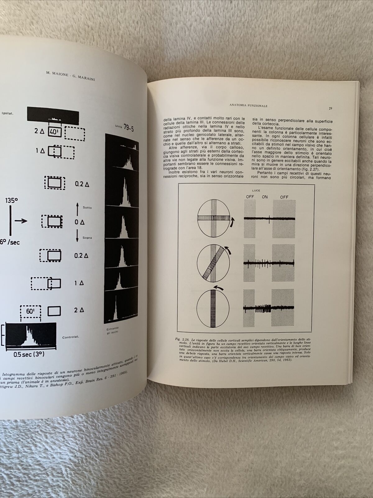 L'UNITÀ VISIVA SENSORIO-MOTORIA fisiopatologia e clinica dello strabismo. Maione
