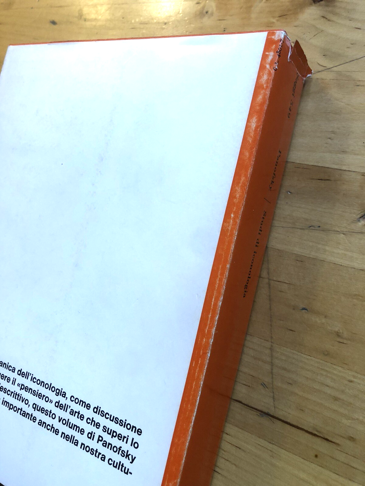 Studi di iconologia, Erwin Panofsky i temi umanistici nell'arte del rinascimento