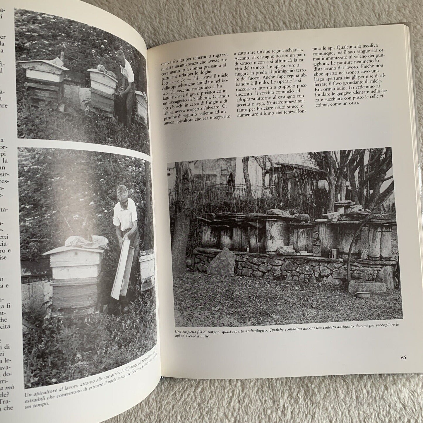 Il crepuscolo della civiltà contadina Adriano Simoncini Mauro Bacci. Grafis 1983