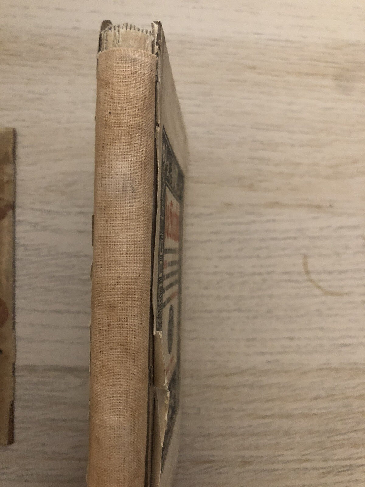 La Secchia, Olindo Guerrini, A. F. Formiggini editore. Garagnani 1908 - Tassone