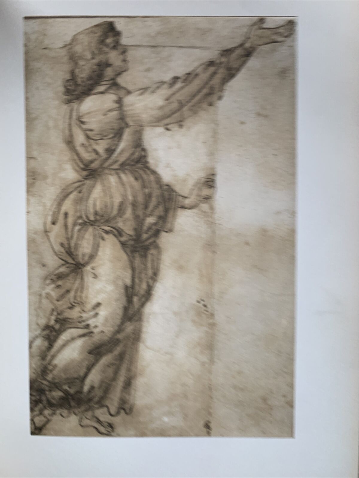 Disegni italiani dal XIII al XIX secolo. Edizioni Minerva 1963