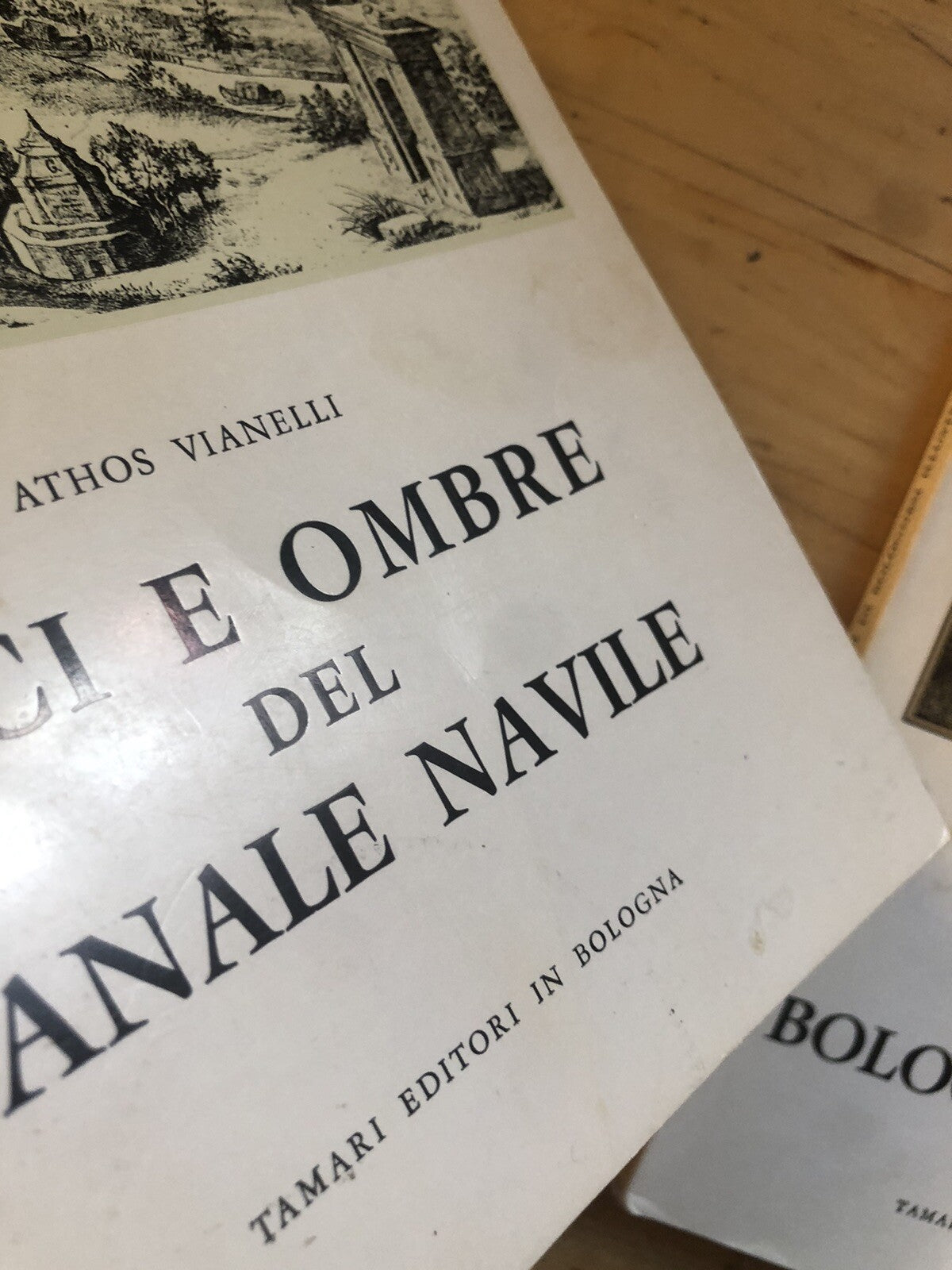 Profili di bolognesi illustri, Luci e ombre sul canale Navile - Athos Vianelli