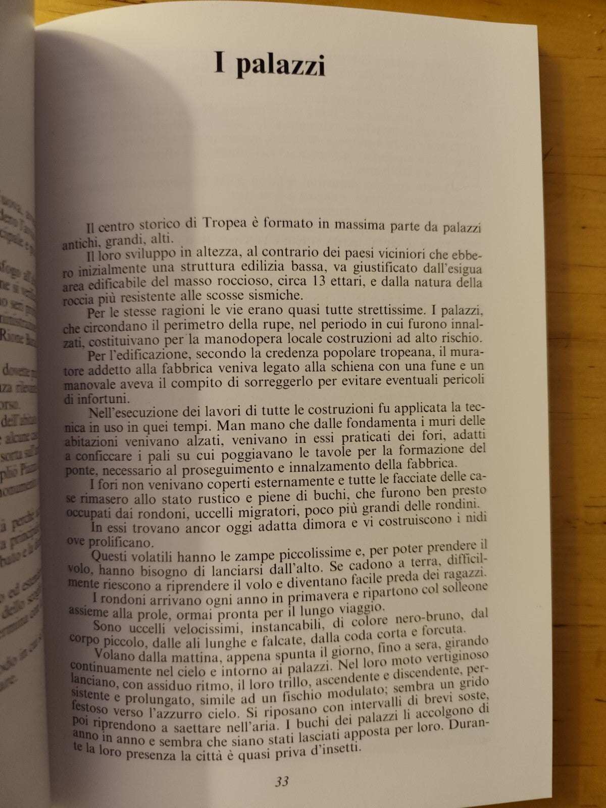 Tropea ieri Tropea oggi, Bernardo Negro - cenni storici Guida Turistica 1993