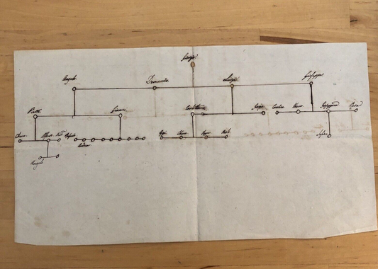 GENEALOGIA ALBERO GENEALOGICO disegnato amano, no datato inizi '800