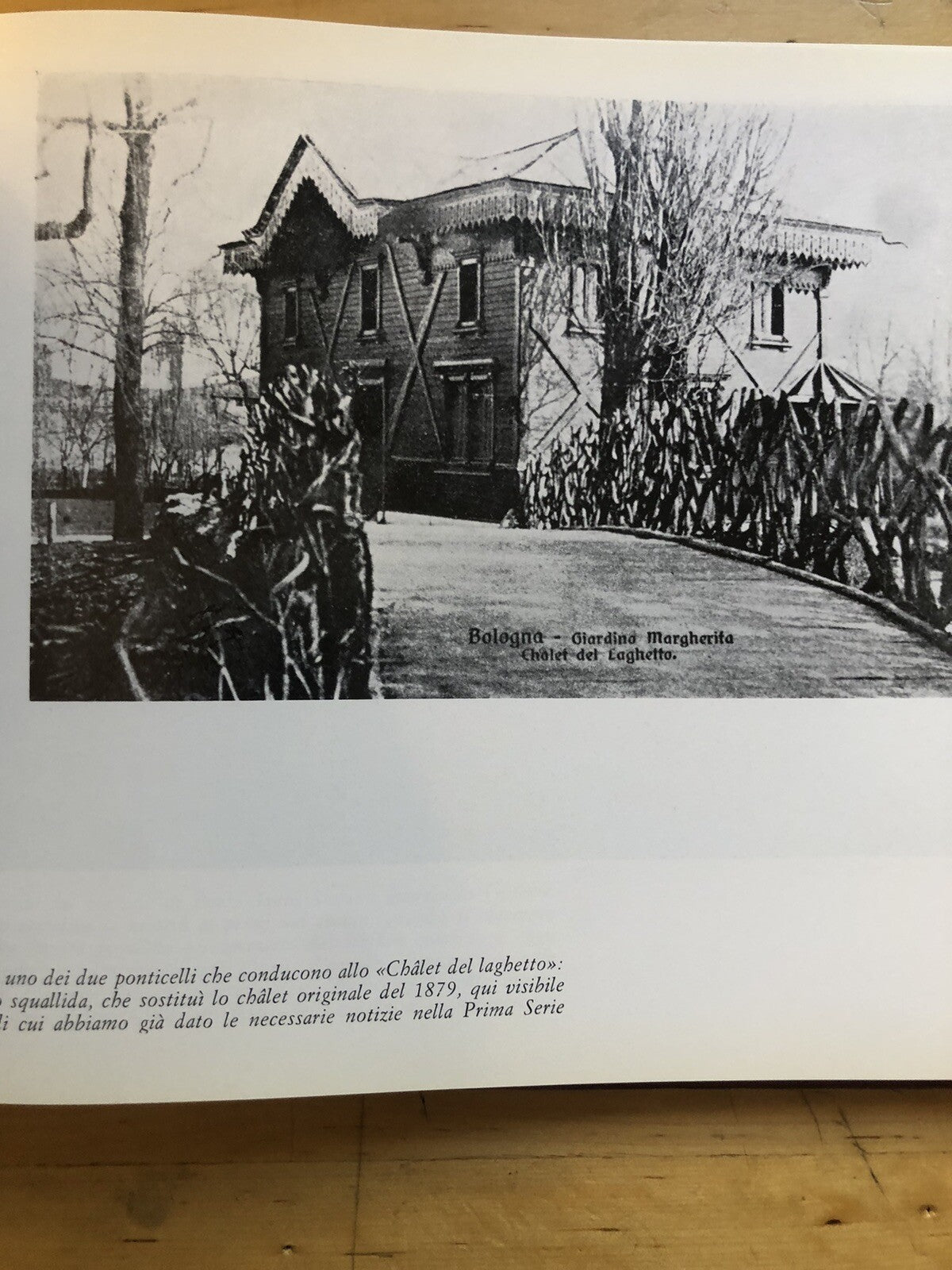 Bologna fotoconfronti col passato, A. Vianelli, edizione Unificata in 300 pagine