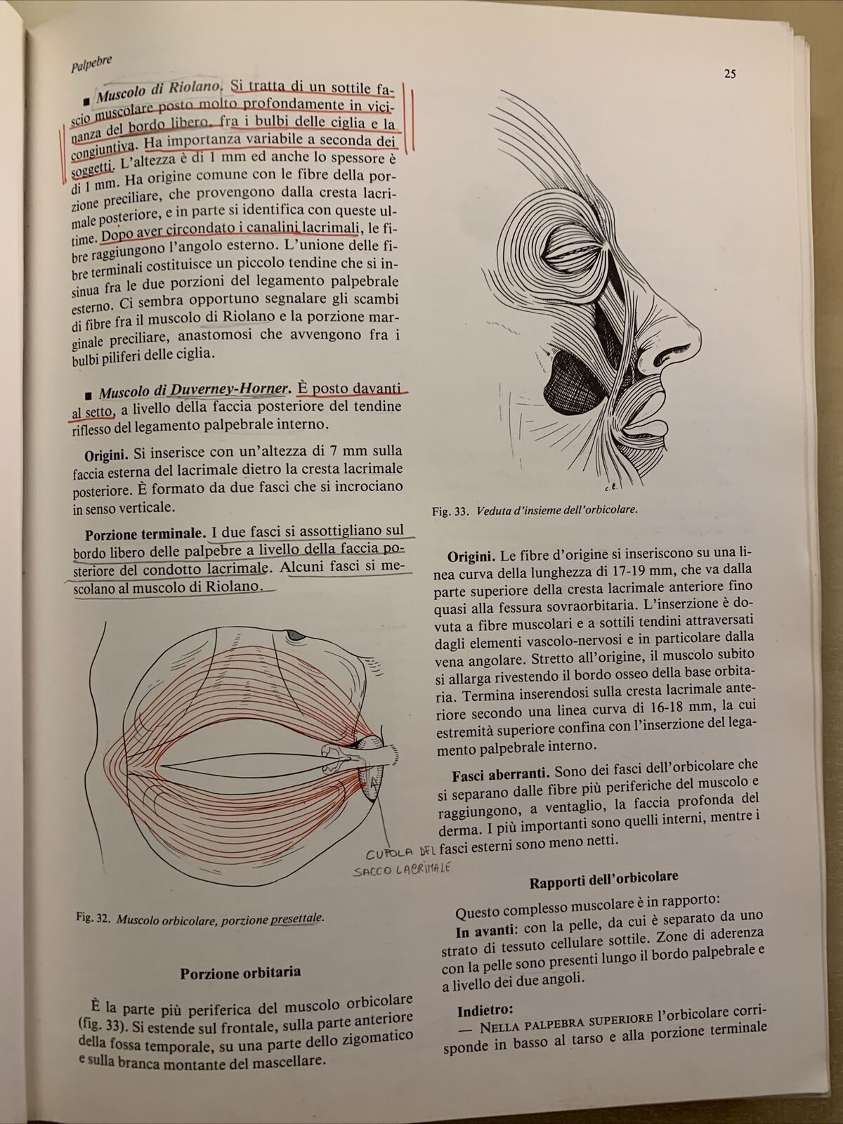 MANUALE DI ANATOMIA E ISTOLOGIA DELL'OCCHIO - SARAUX, LEMASSON, OFFRET. MASSON #