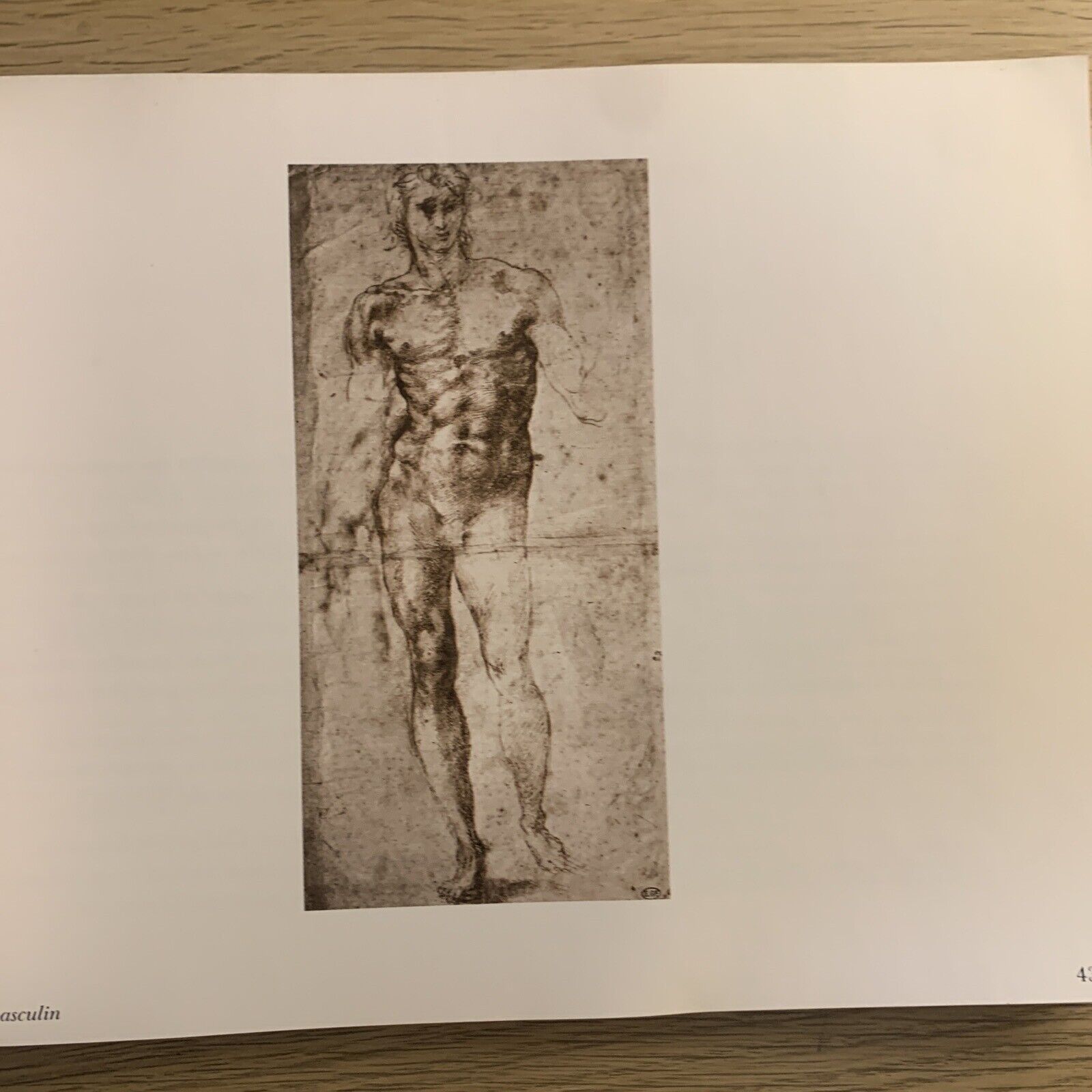 Michel-Ange poèmes. Mazarine 1983