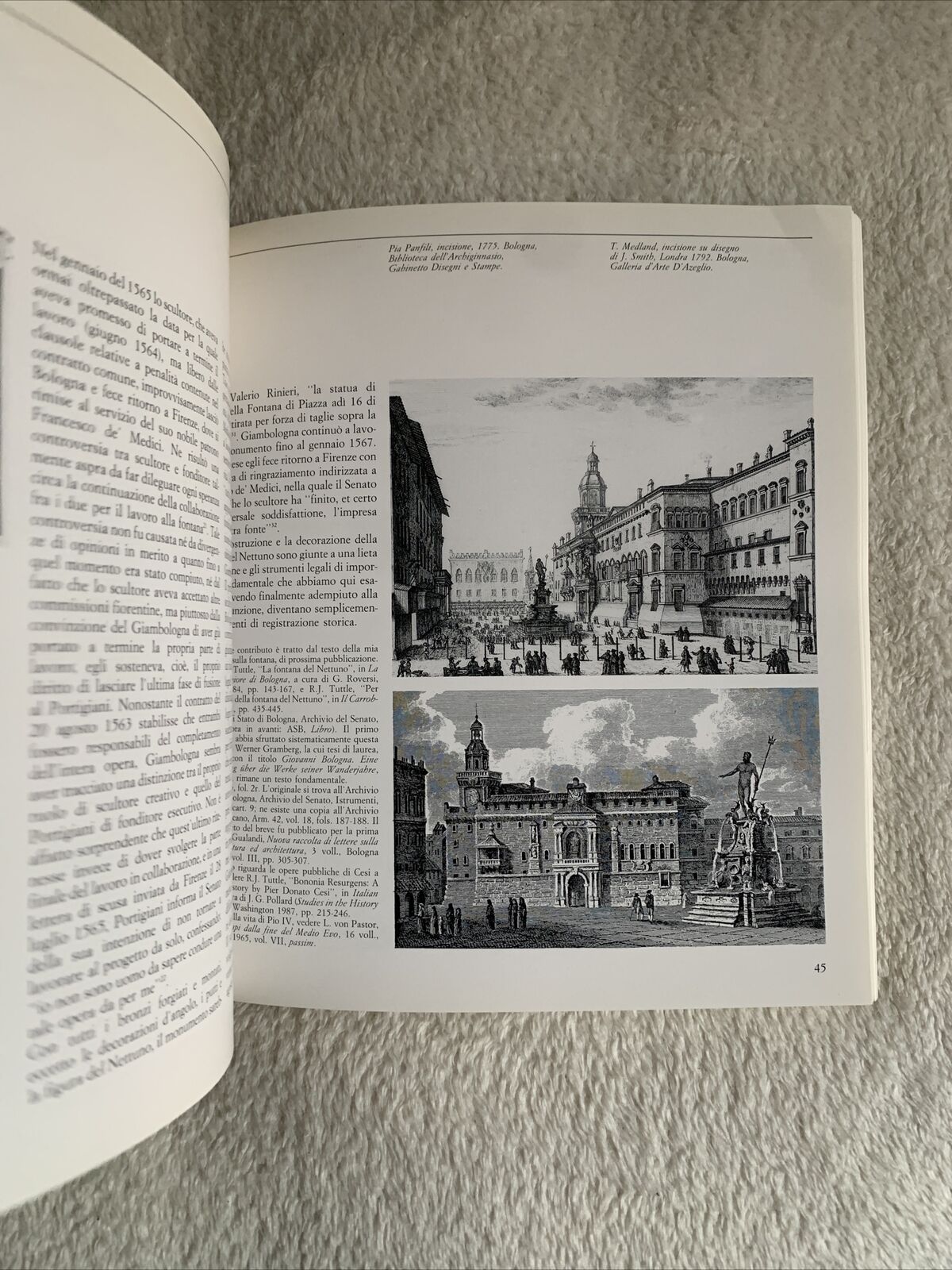 Il Nettuno del Giambologna storia e restauro. Electa 1989