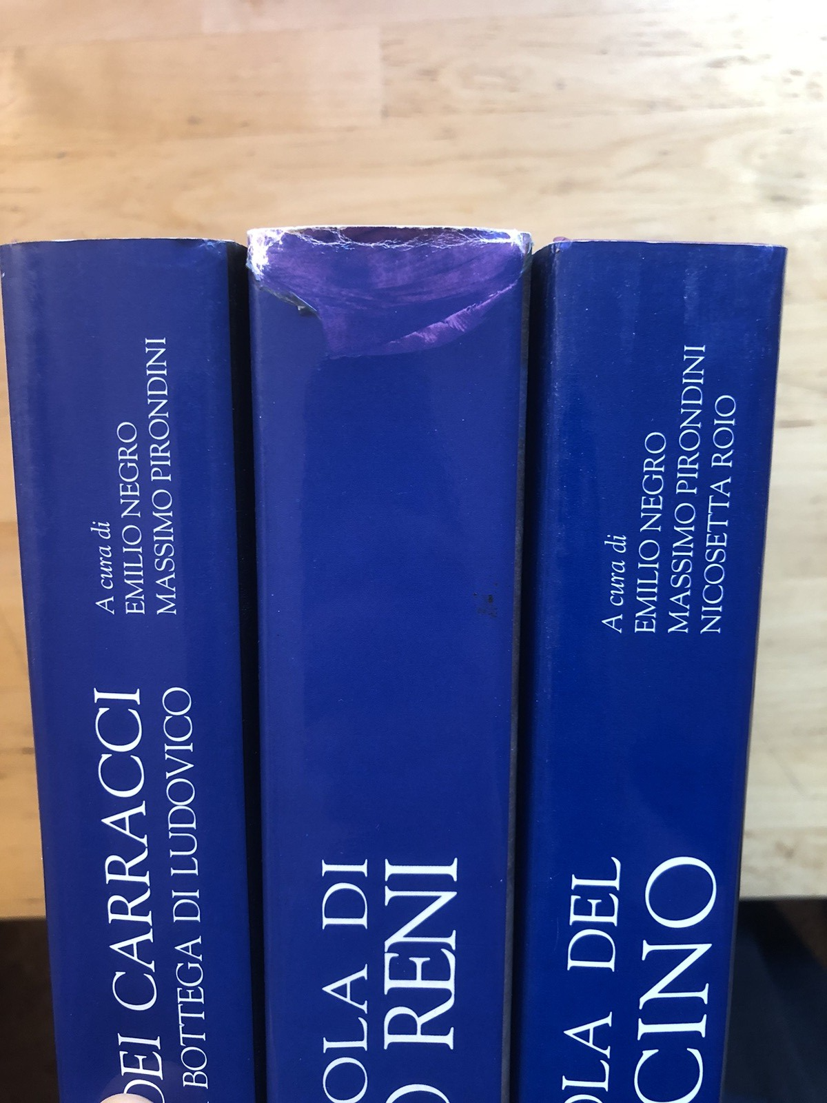 La scuola dei Carracci, La scuola di Guido Reni, La scuola del Guercino