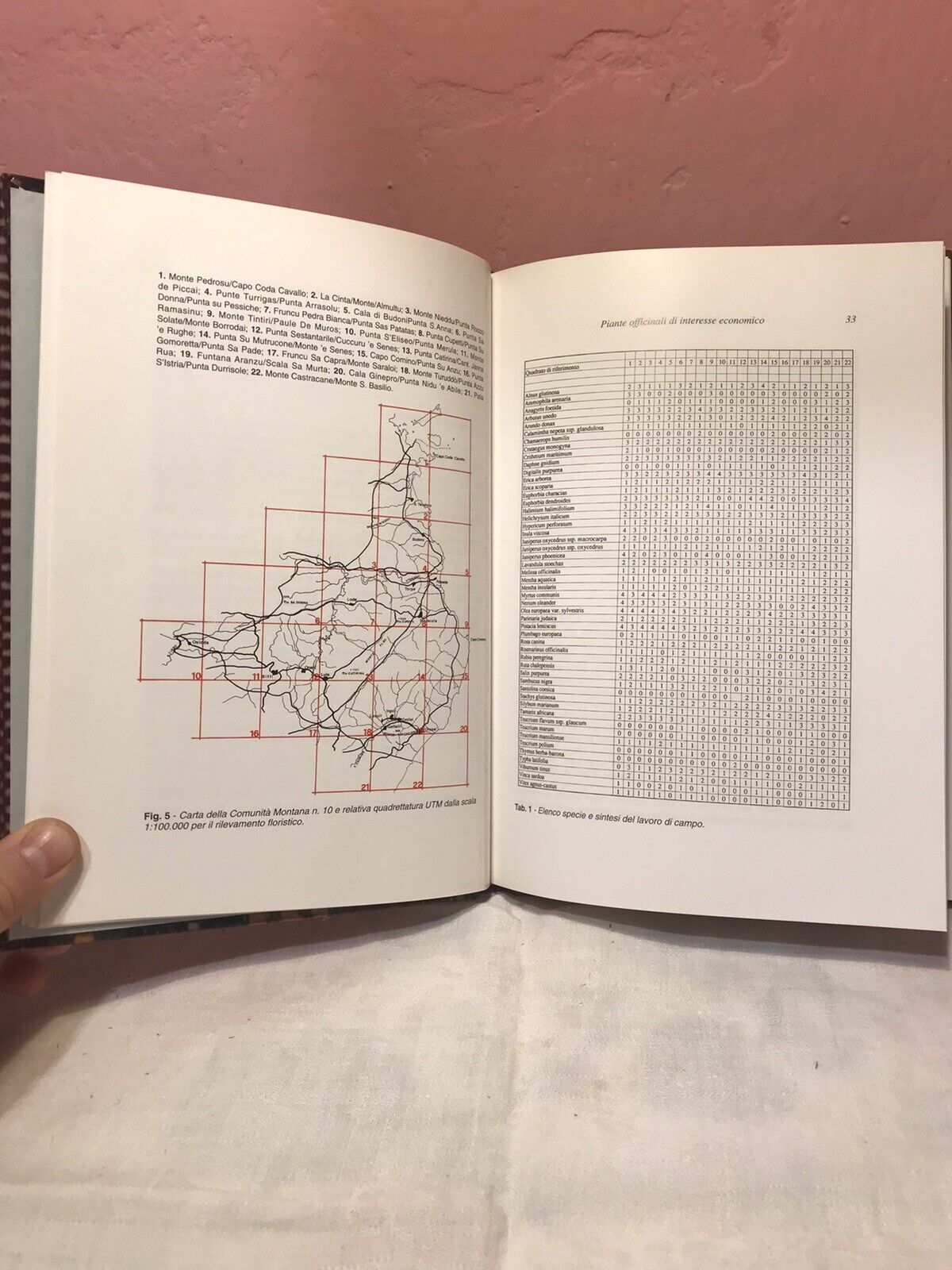 Piante officinali nella comunità montana delle Baronie, J. Camarda, V. Satta