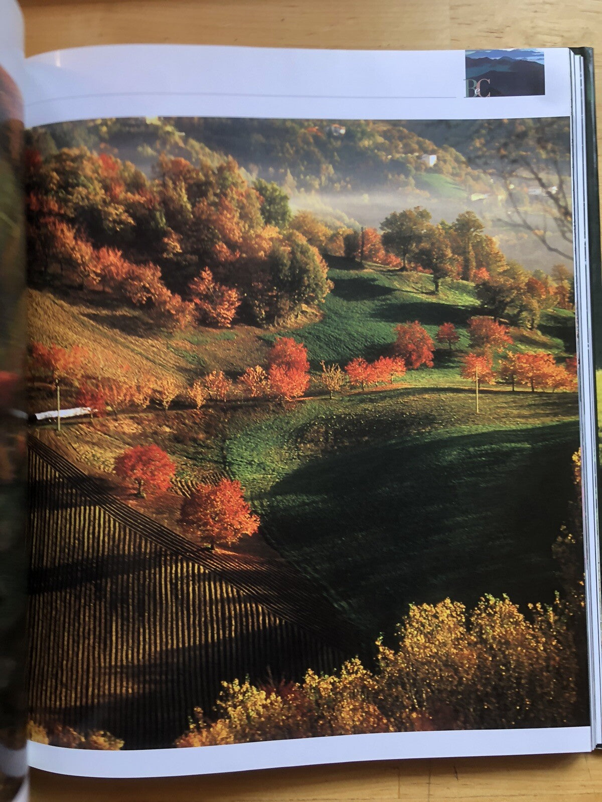 Borghi e Castelli dell'Appennino Bolognese, Renzo Zagnoni. L'Inchiostroblu 2006