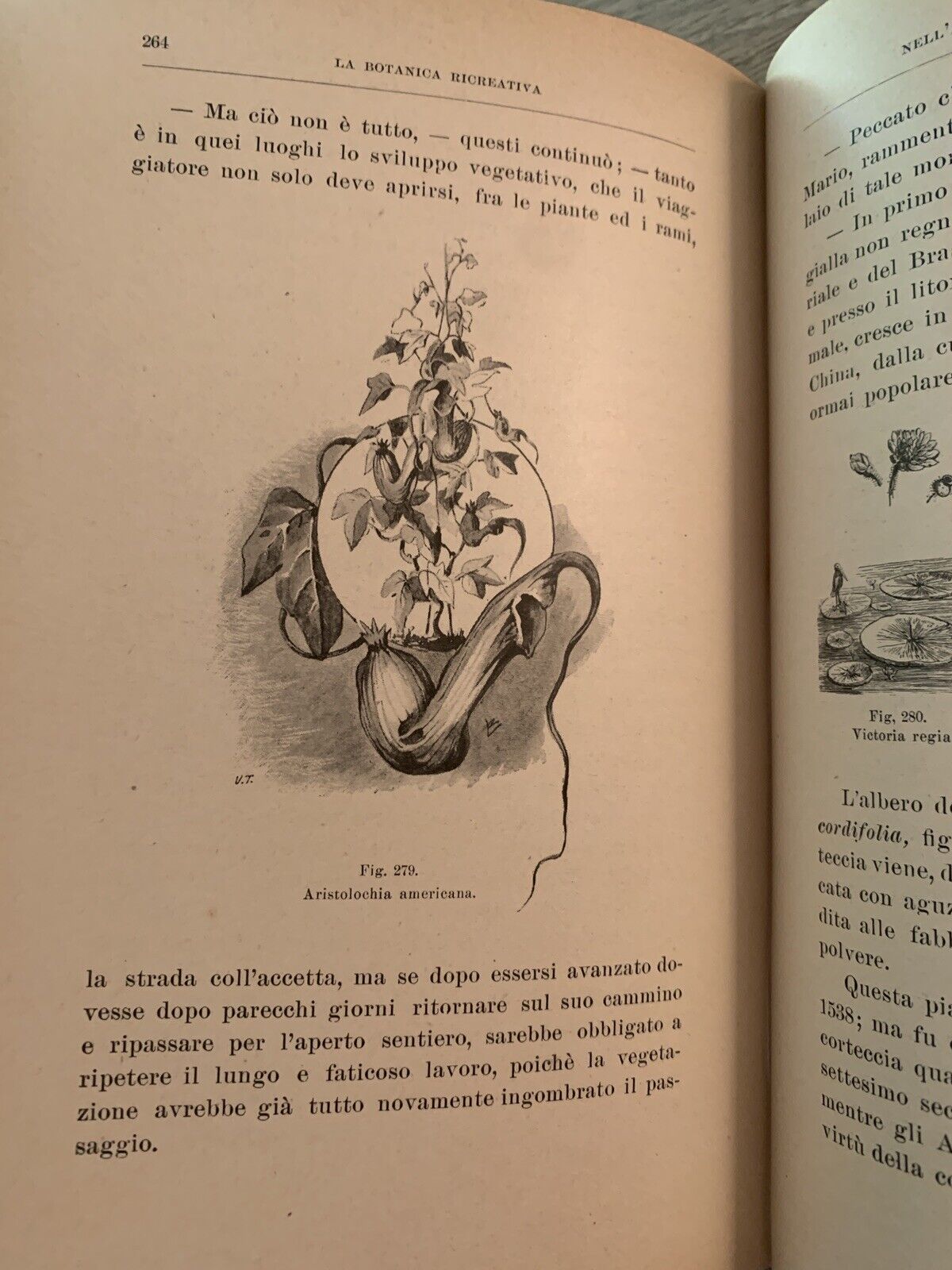 La Botanica Ricreativa, Giuseppe Roda. Paravia 1907 meraviglie della vegetazione