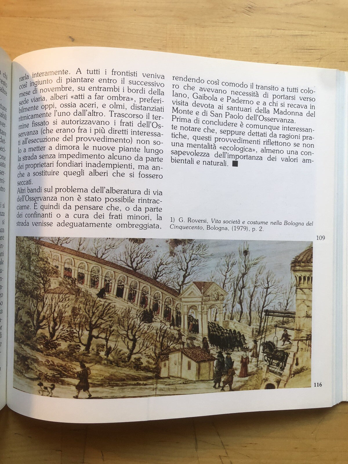 La collina di Bologna un patrimonio naturale per tutta la città e i suoi abitant