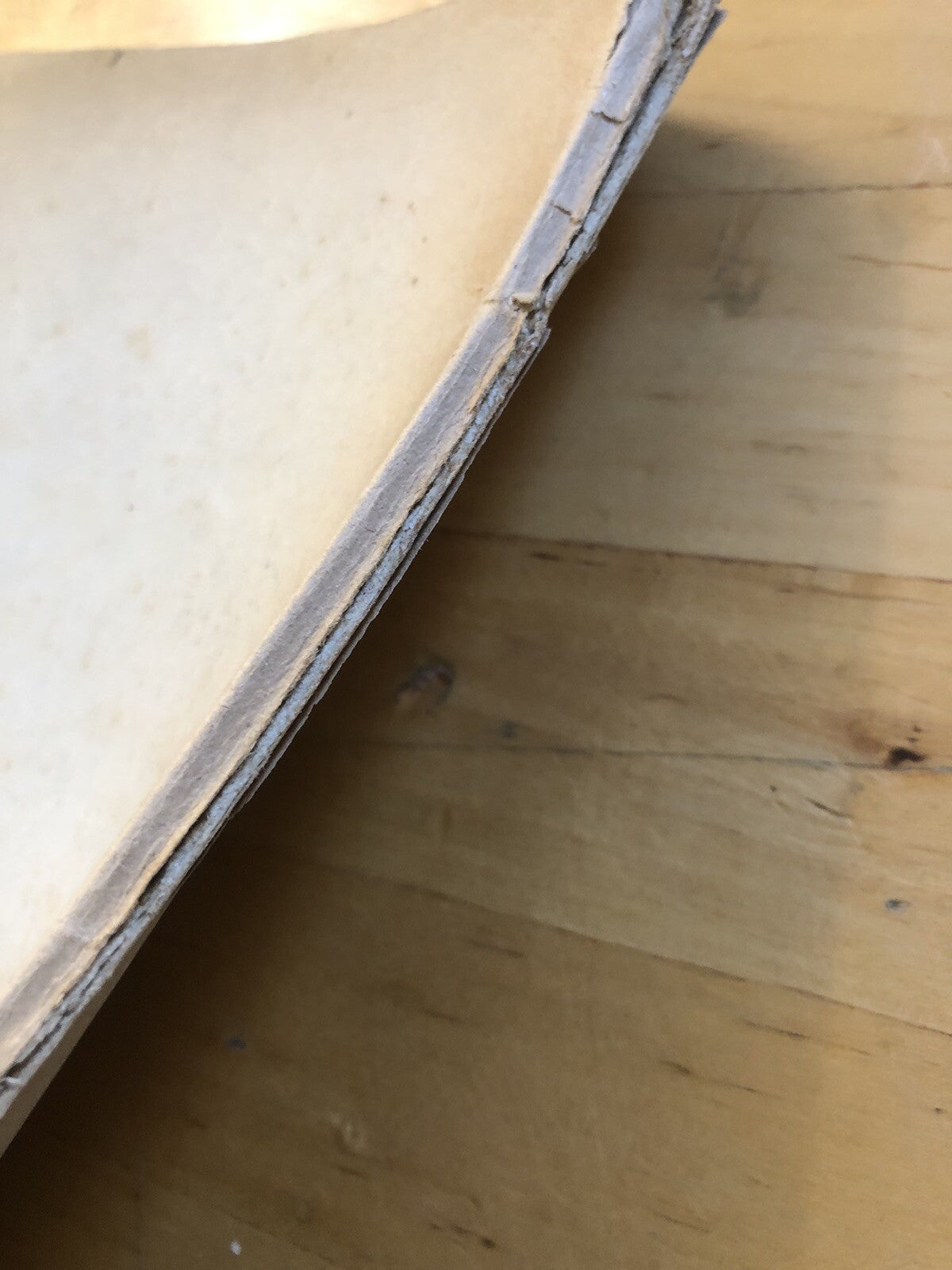 San Bernardino da Siena a Bologna, Celestino Piana, Vallecchi estratto 1945