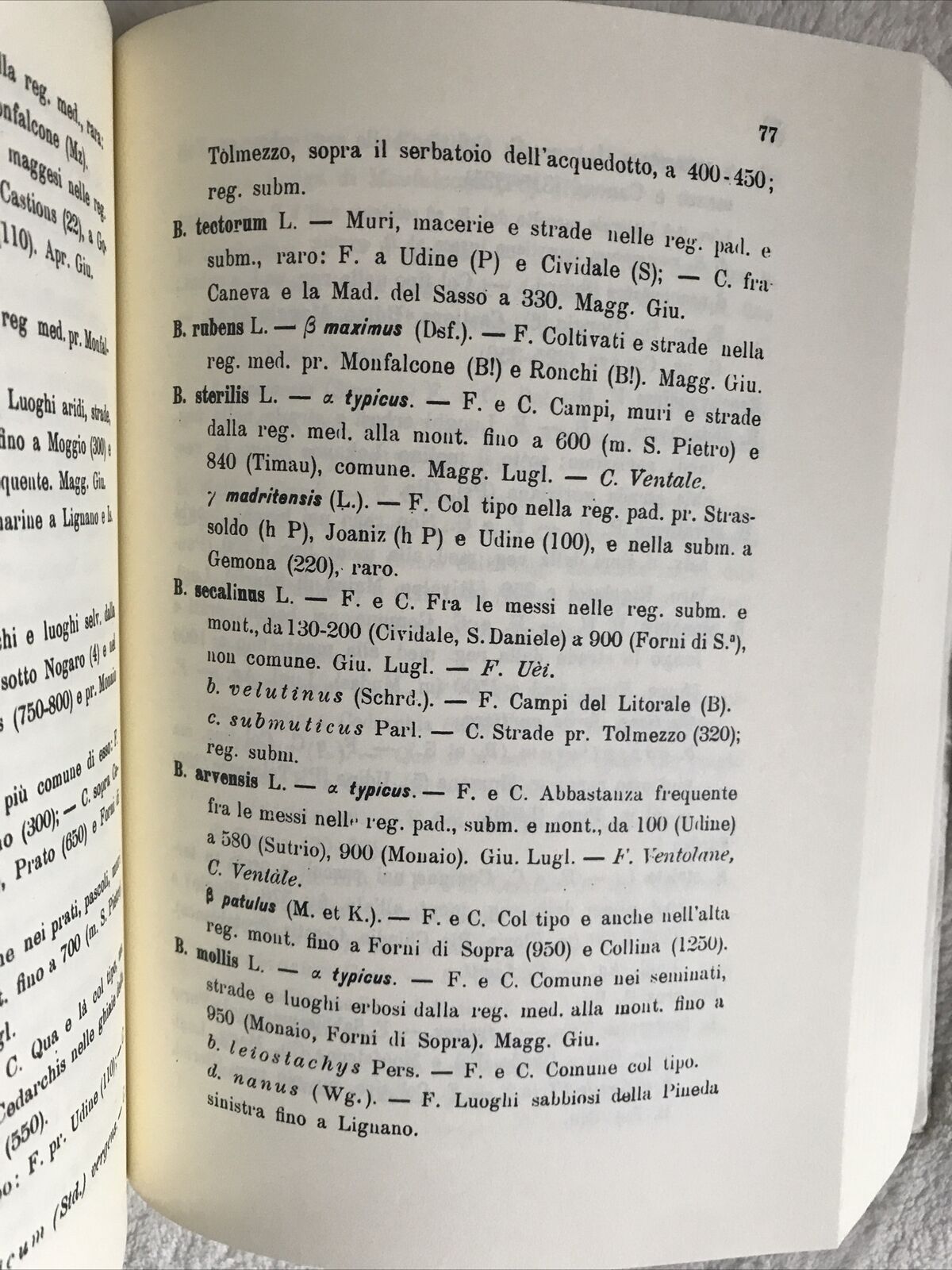 La flora friulana Luigi Michele  Gortani Arnaldo Forni editore CARNIA FRIULI 