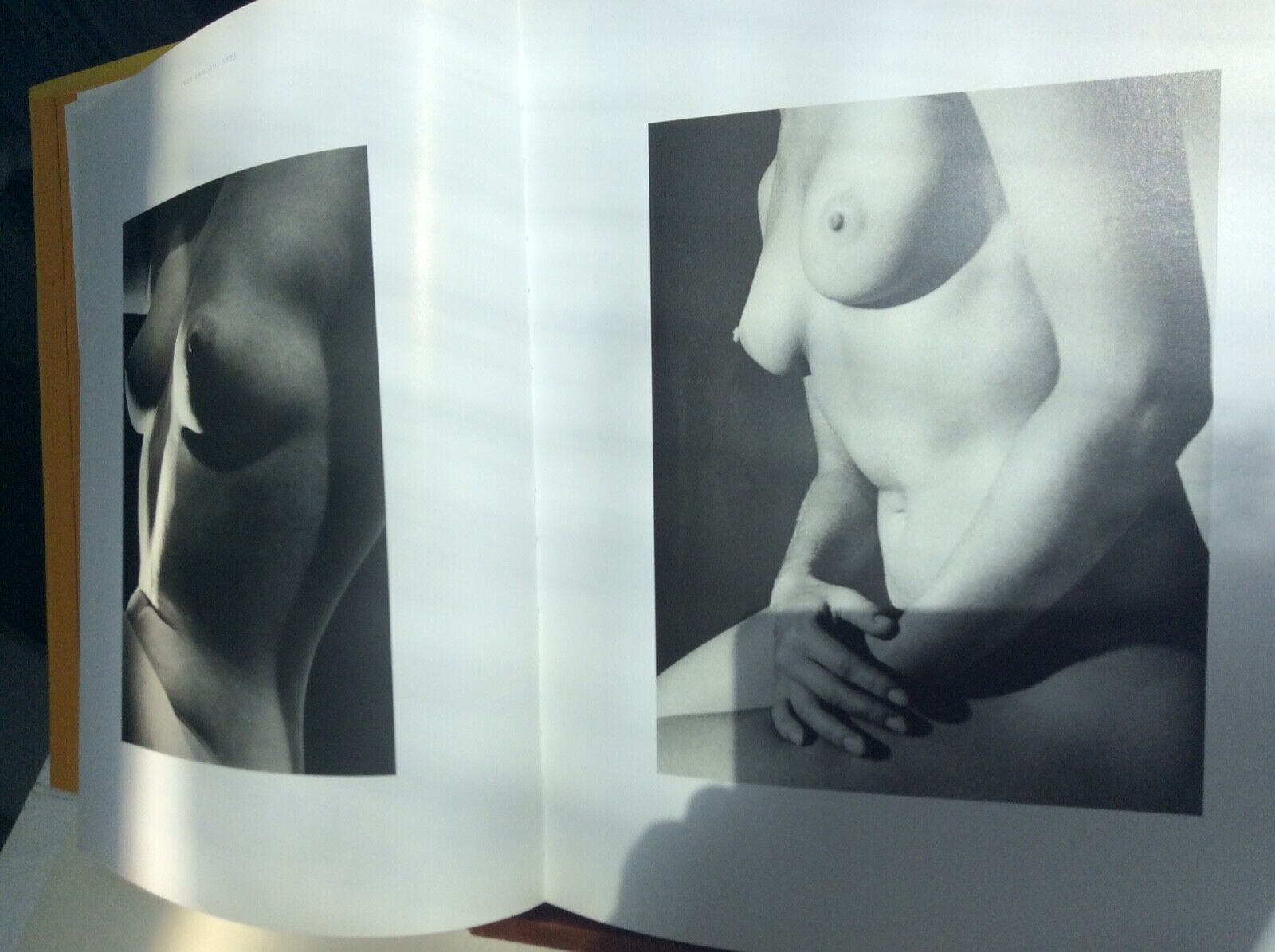 ASSIA SUBLIME MODELE, CHRISTIAN BOUQUERET - MARVAL