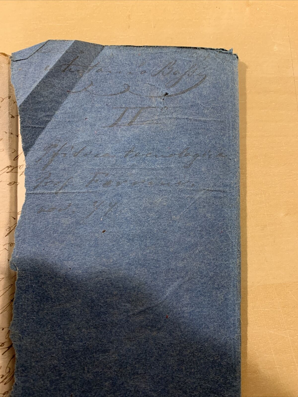 FISICA TECNOLOGICA - Università di Pavia, appunti del 1877 #