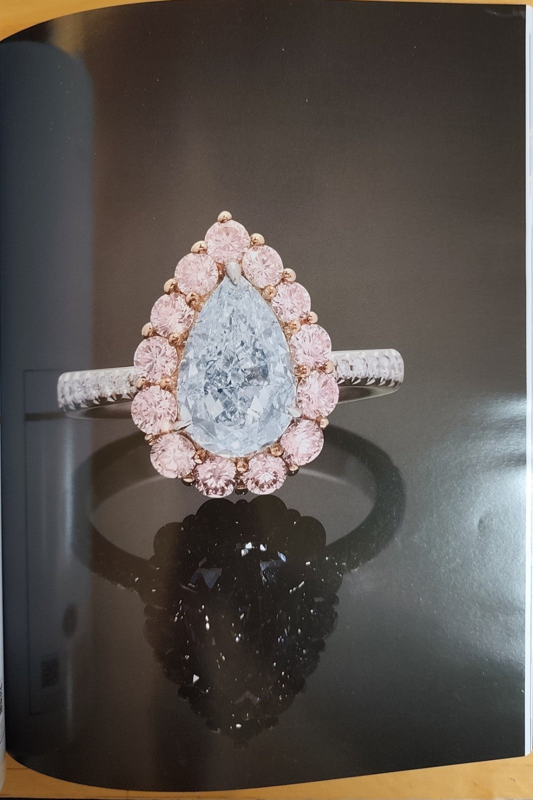 WANNENES - BIJOUX & SACS DE LUXE - MONTE CARLO 31 JANVIER 2024