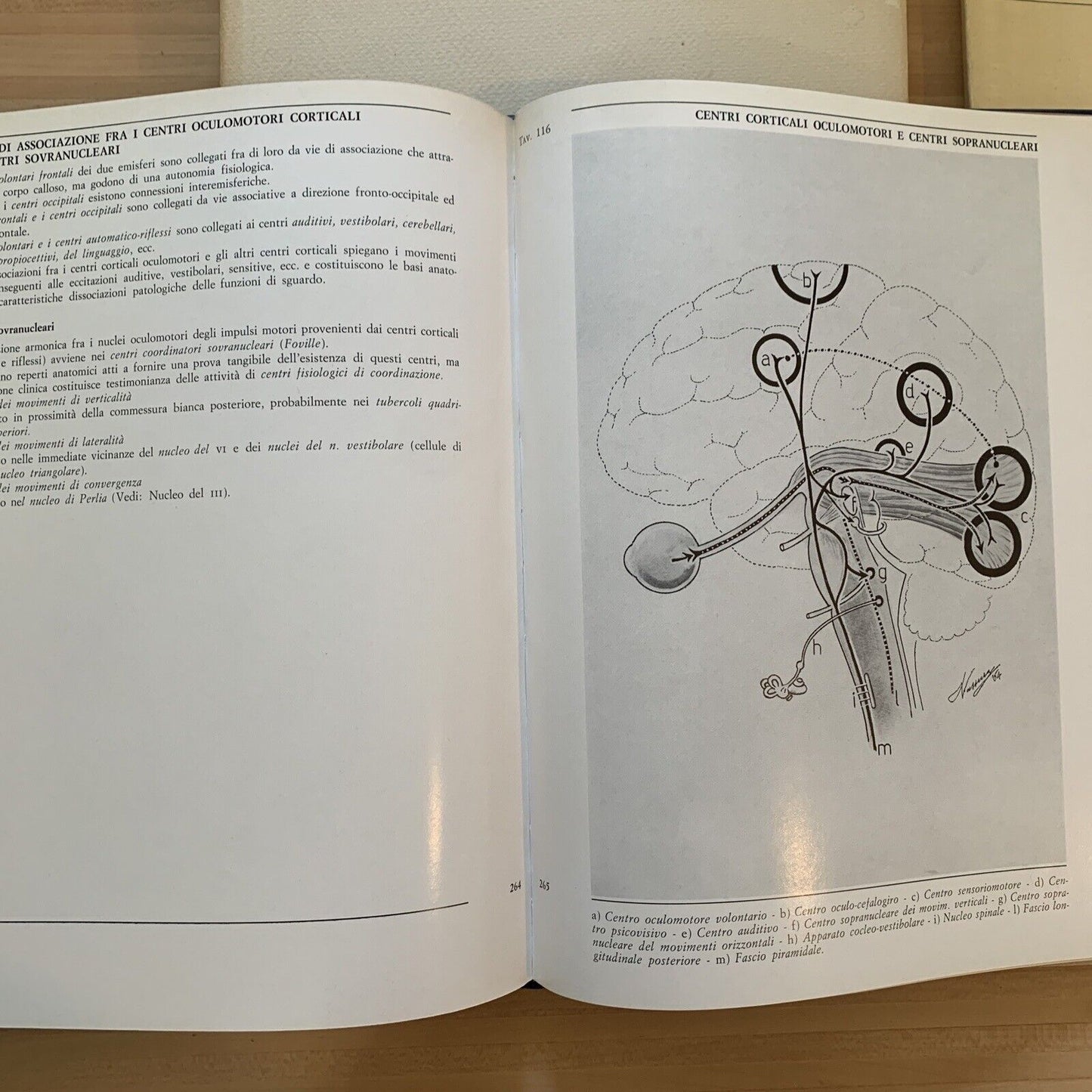 L'OCCHIO - Iconografia anatomica 4 volumi. Giorgio W. Vassura. Italseber