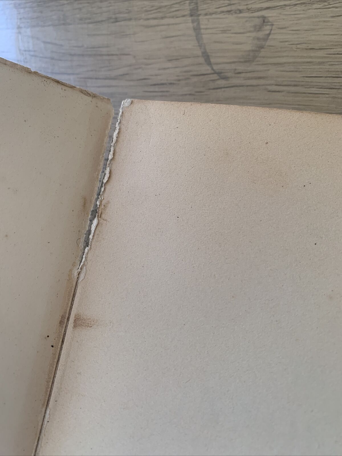 IL BEATO INNOCENZO XI - GIORGIO PAPÀSOGLI, 1956 centro innocenziano di studi