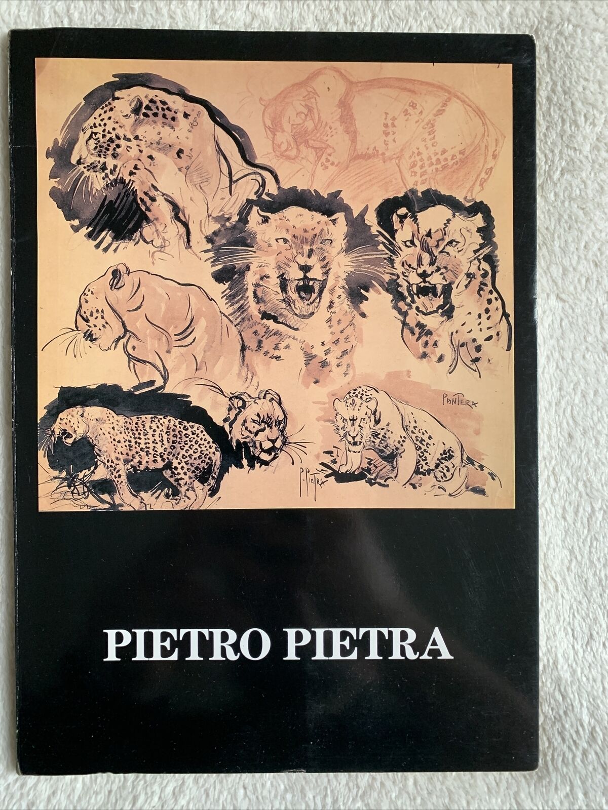 PIETRO PIETRA - galleria d'arte d'Azeglio 1986