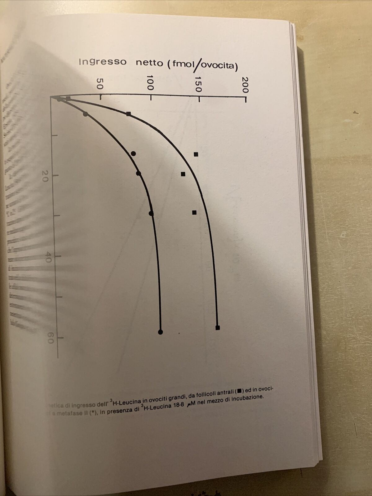 Omaggio a Paride Stefanini - Istituto Universitario di Medicina e Chirurgia 1982