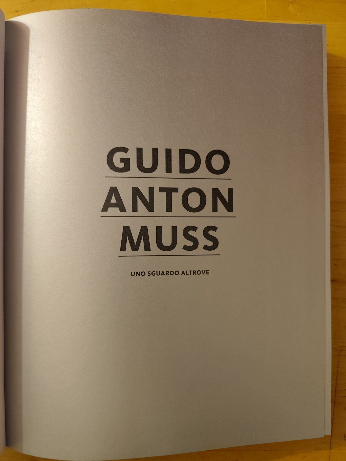 Guido Anton Musso uno sguardo altrove - Andrea Maistrello - Athesia ed. 2013