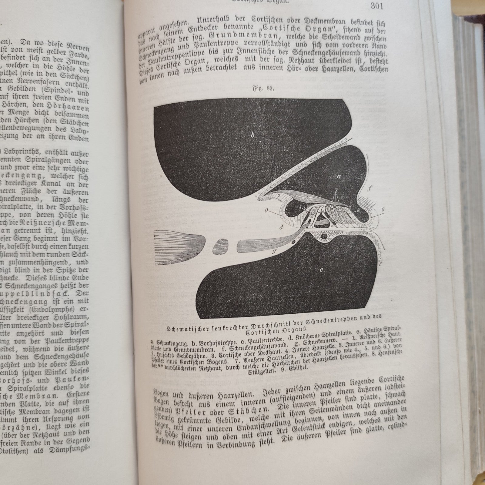 Das Buch vom Gesunden und kranken menschen - Ernst Bock 1889 Antico testo medico
