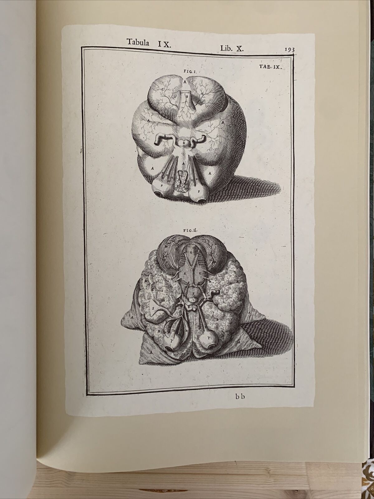 Icones ophthalmologicae - Francesco Loperfido - Casa editrice Mattioli 1992 #