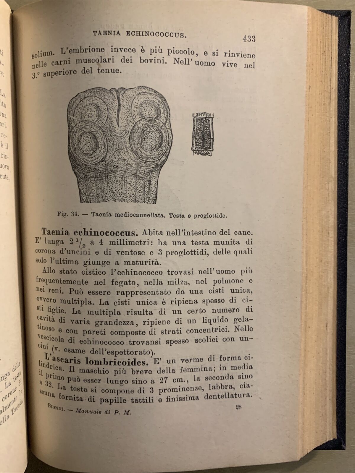 MANUALE DI CLINICA MEDICA PROPEDEUTICA (SEMEIOTICA) Adolfo Biondi, Vallardi 1903
