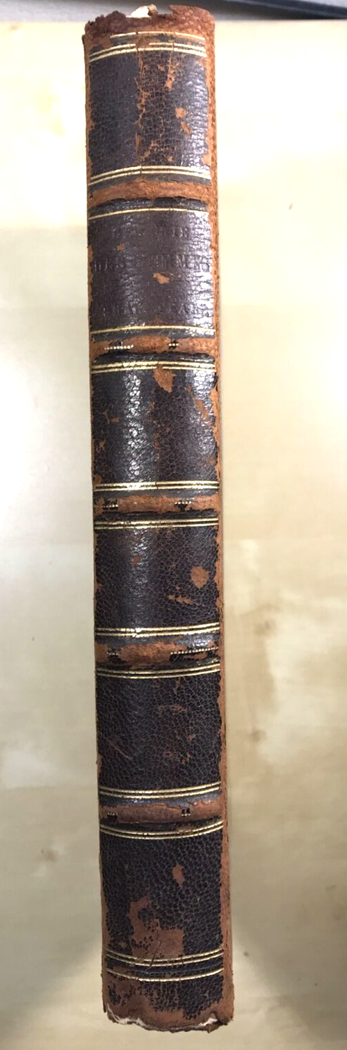 FEMMES DE SHAKSPEARE galerie, Dufour et Mulat èd., 45 portraits collection #