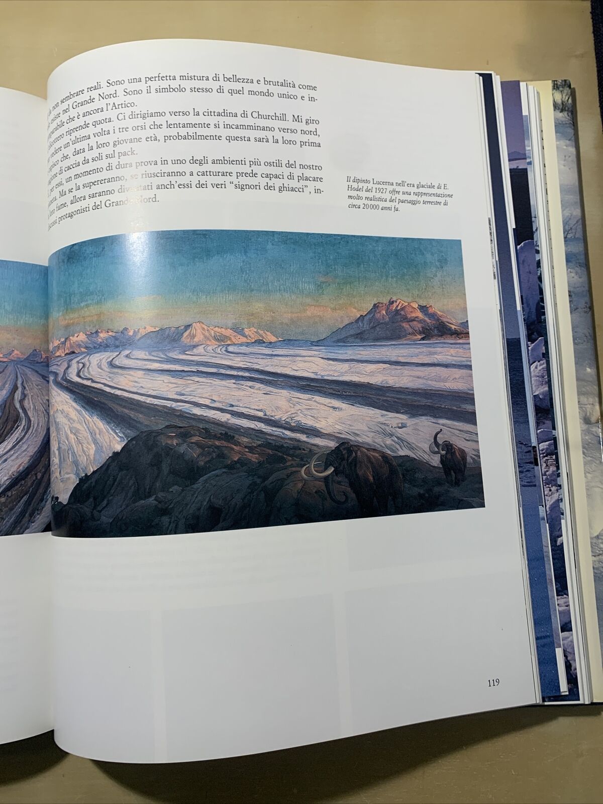 ARTICO - Brando Quilici, Una frontiera della Natura. Touring Club Italiano #