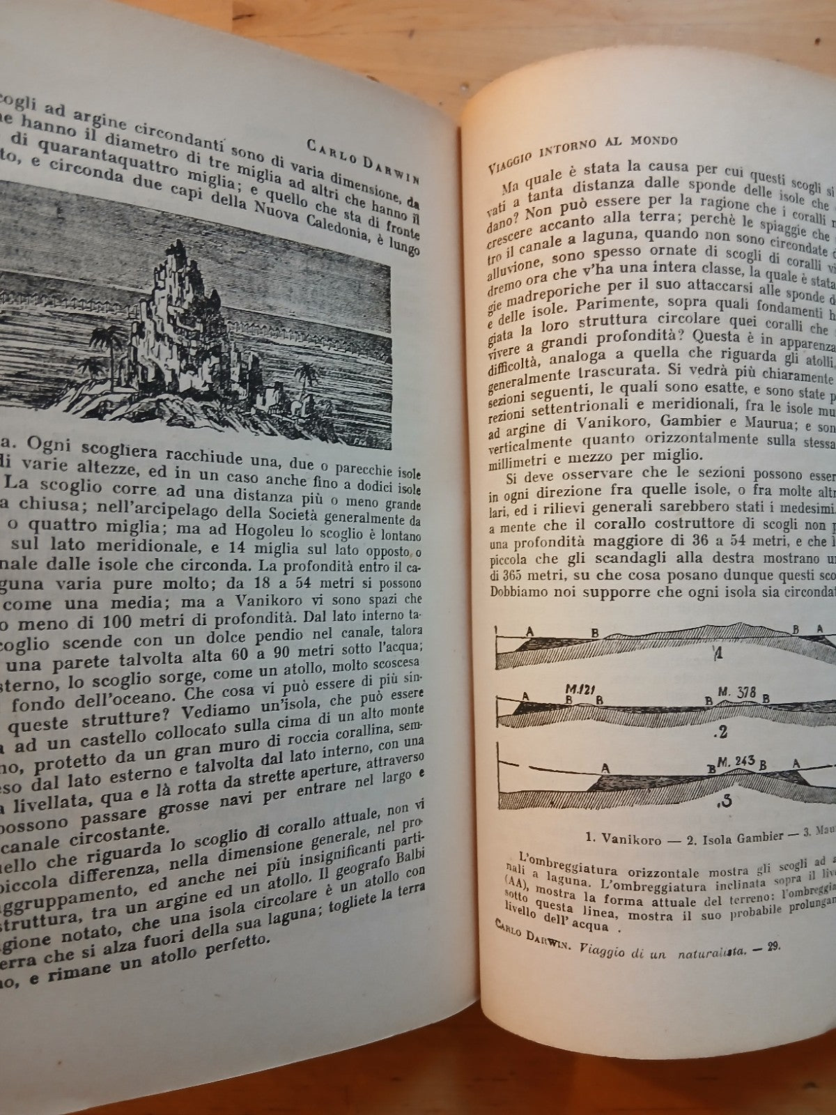 Darwin Carlo - Diario di un naturalista giramondo - Gamma ed. 1945