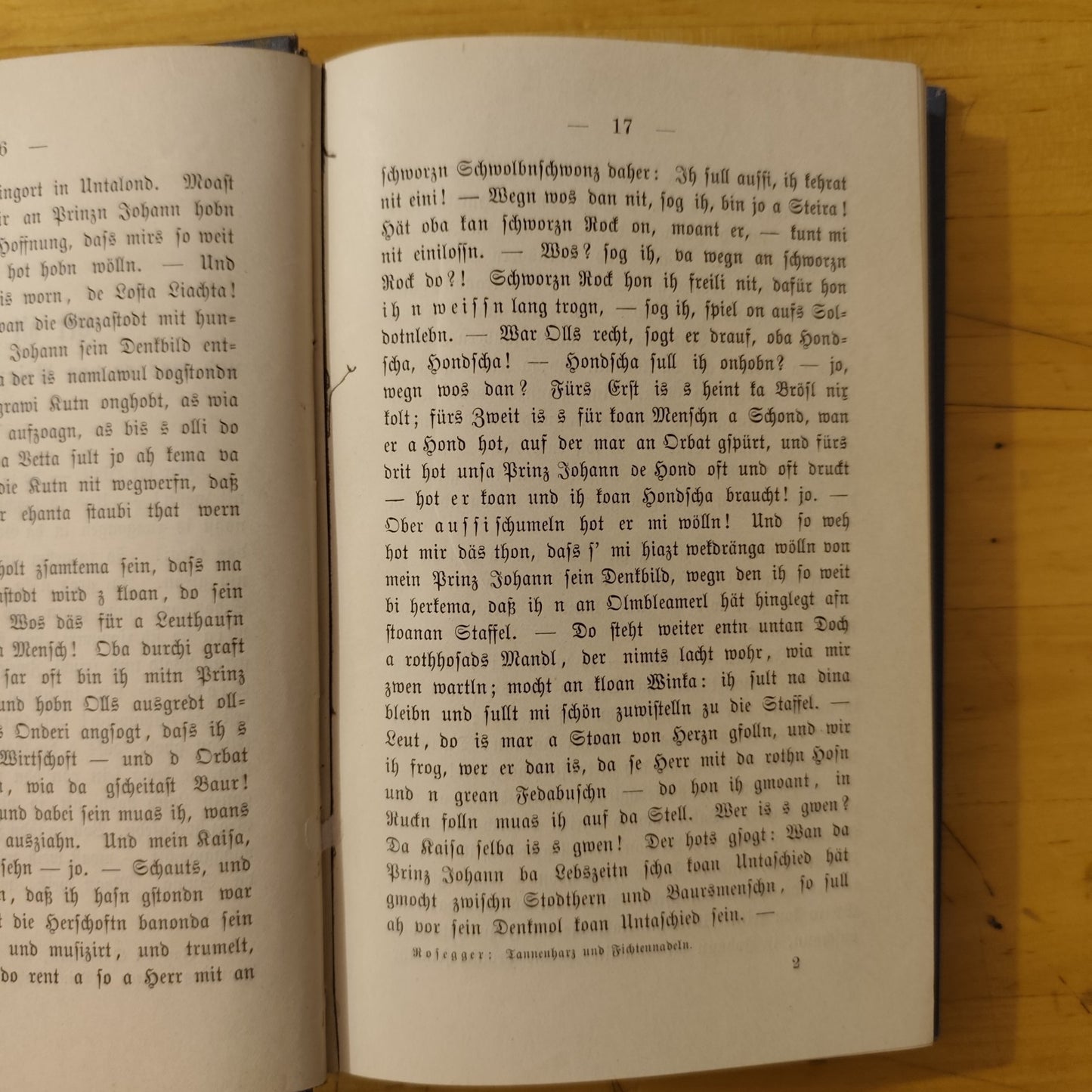 Tannenharz und Fichtennadeln - P. K. Rosegger Geschichtenbuch in steirische 1881
