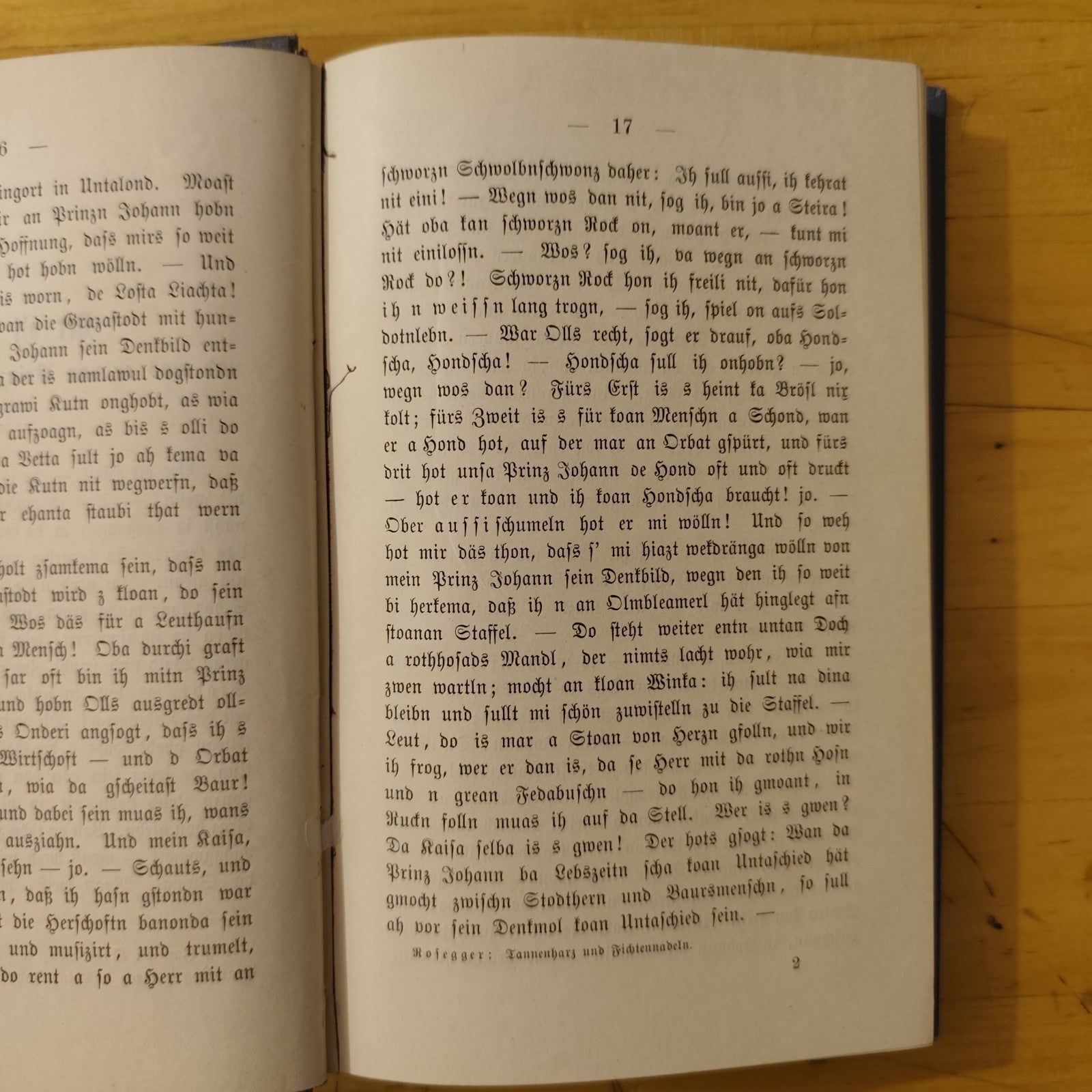 Tannenharz und Fichtennadeln - P. K. Rosegger Geschichtenbuch in steirische 1881
