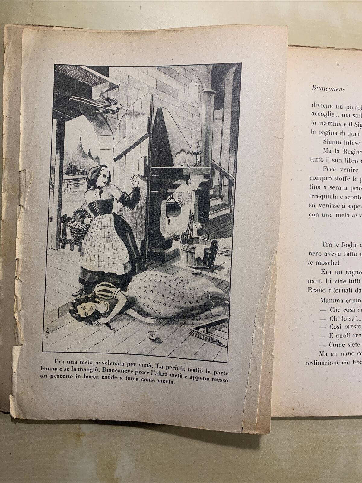BIANCANEVE - Laura Okely Romiti, Editrice Carroccio 1948, ILLUSTRATO #
