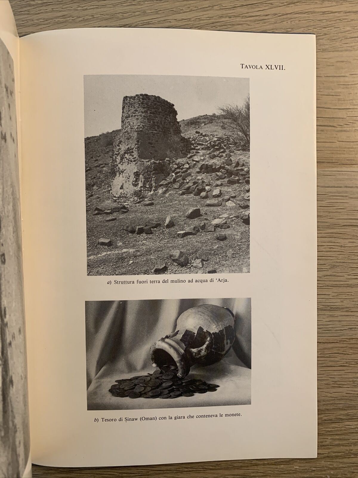 L'UOMO E L'AMBIENTE NELLA PENISOLA ARABA. PAOLO M. COSTA 1991 accademia Lincei