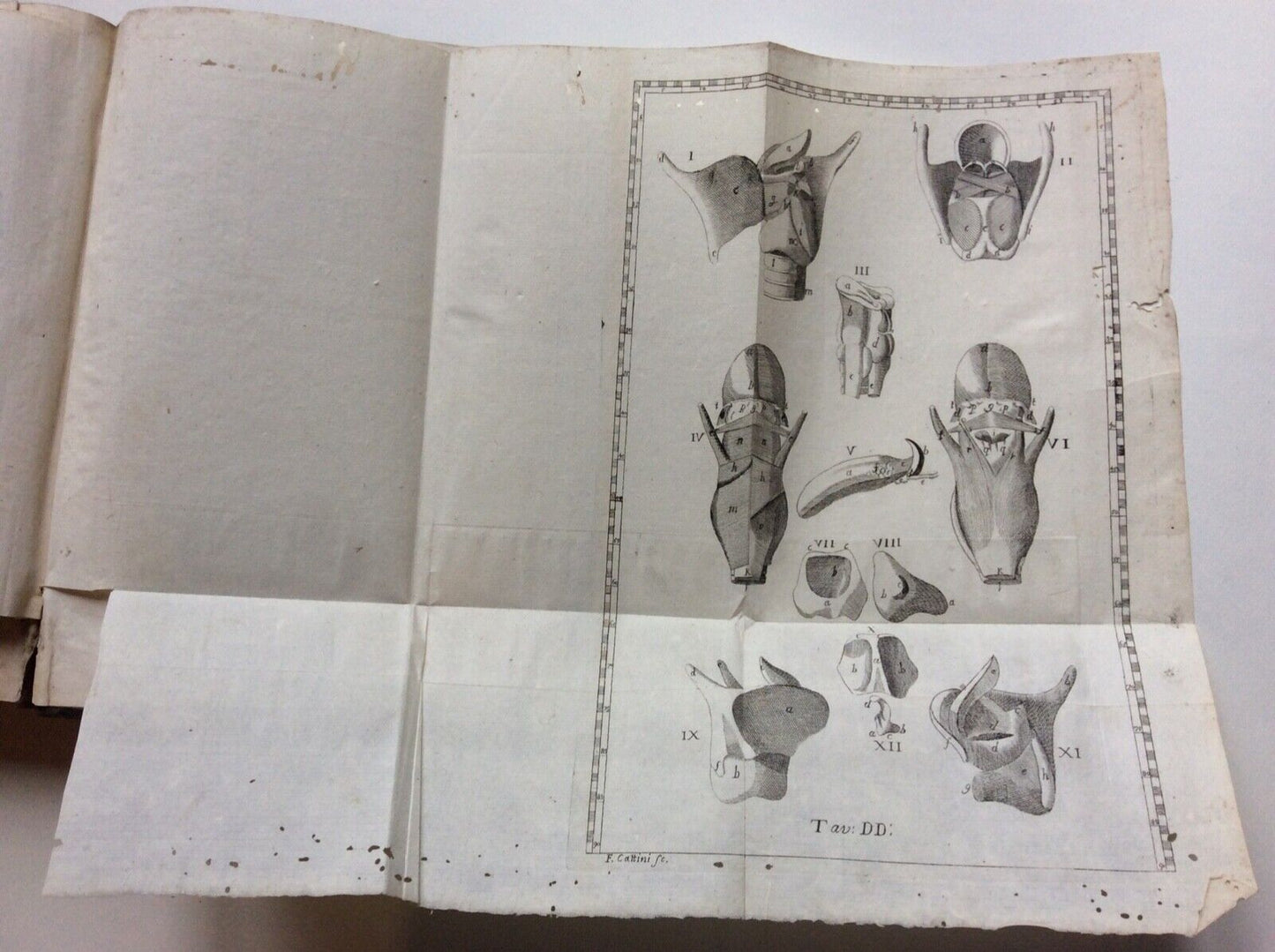 ESPOSIZIONE ANATOMICA DELLA STRUTTURA DEL CORPO UMANO, WINSLOW, 1767, 2 tomi