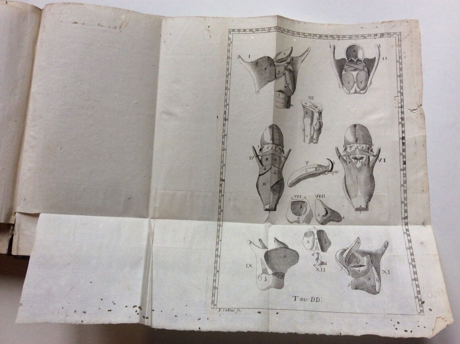 ESPOSIZIONE ANATOMICA DELLA STRUTTURA DEL CORPO UMANO, WINSLOW, 1767, 2 tomi