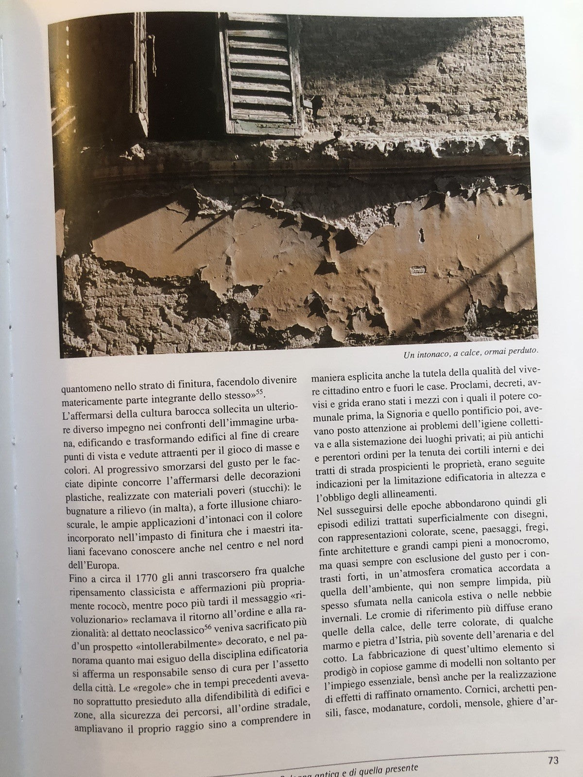 Il colore del tempo, muri intonaci e mattoni della Bologna antica . . Santucci