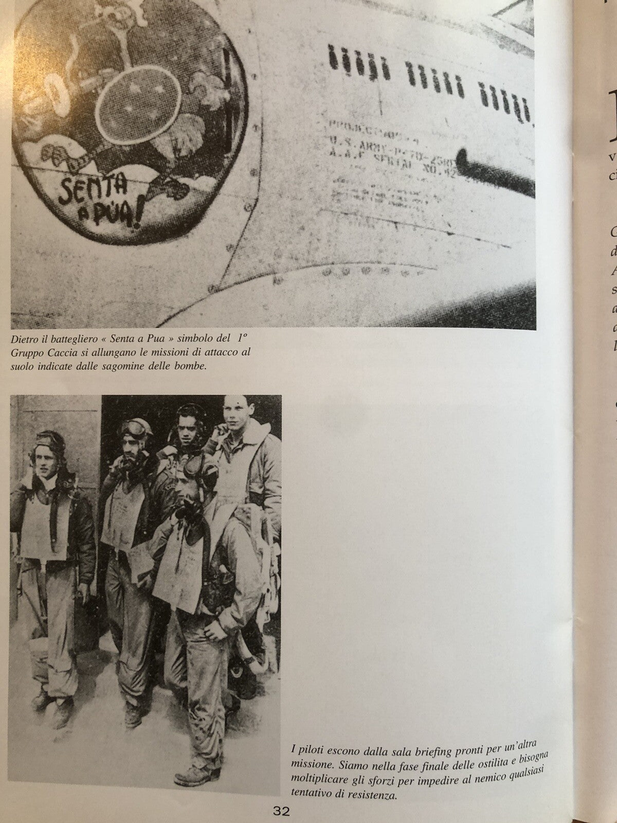 La forza aerea Brasiliana durante la seconda guerra mondiale, Cecomsaer Editora