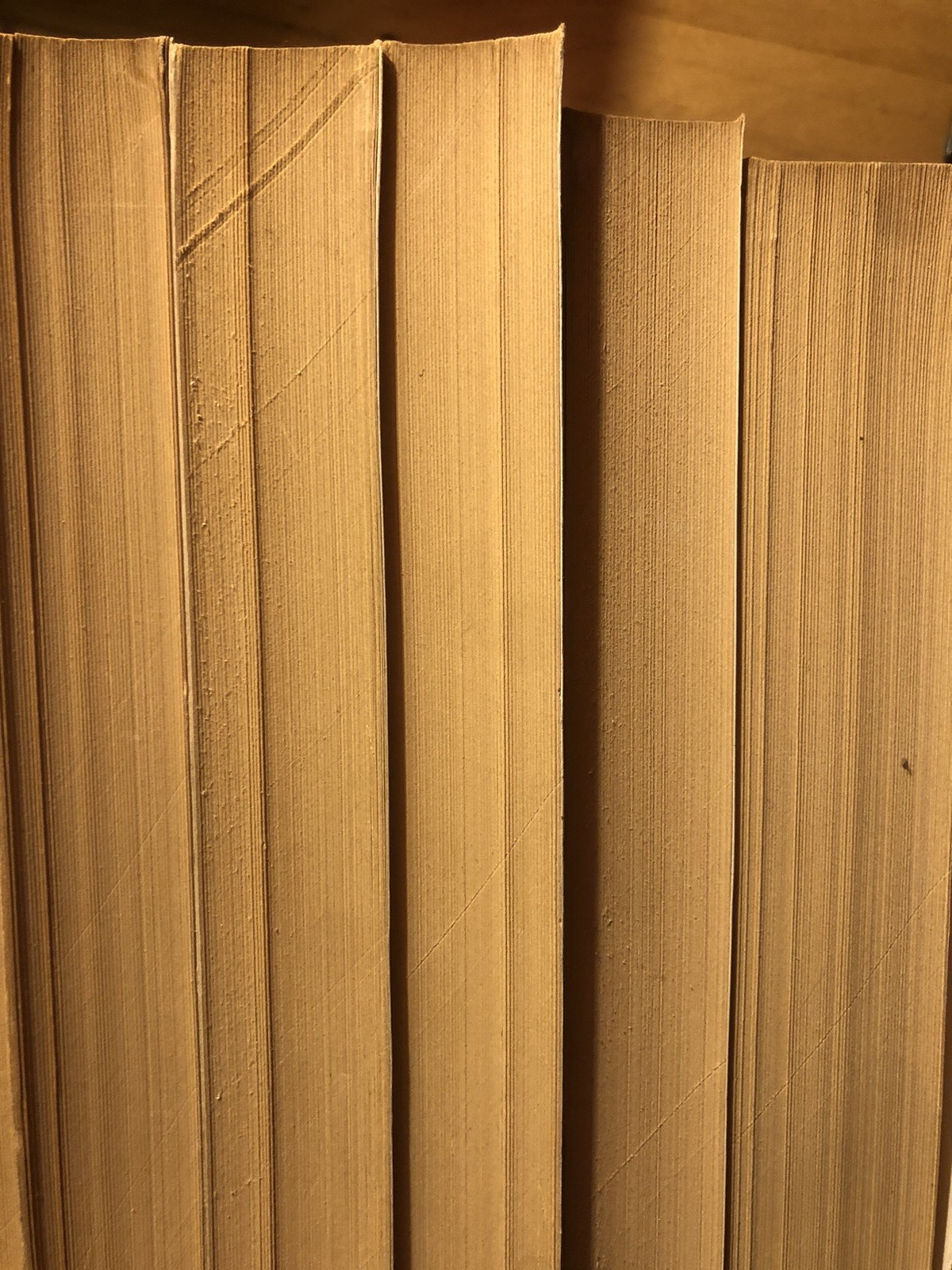 Cose notabili della città di Bologna, Giuseppe Guidicini, Arnaldo Forni ristampa