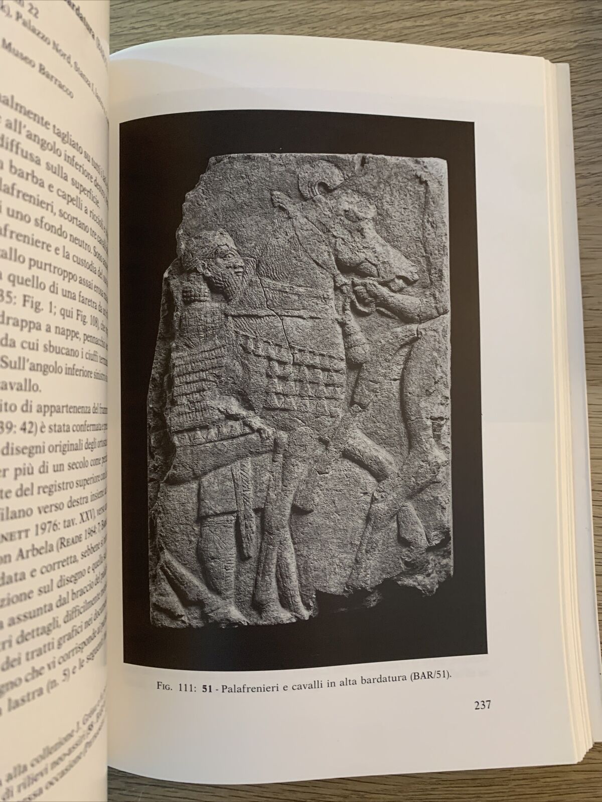 DAI PALAZZI ASSIRI immagini di potere da Assurnasirpal II ad Assurbanipal IX-VII