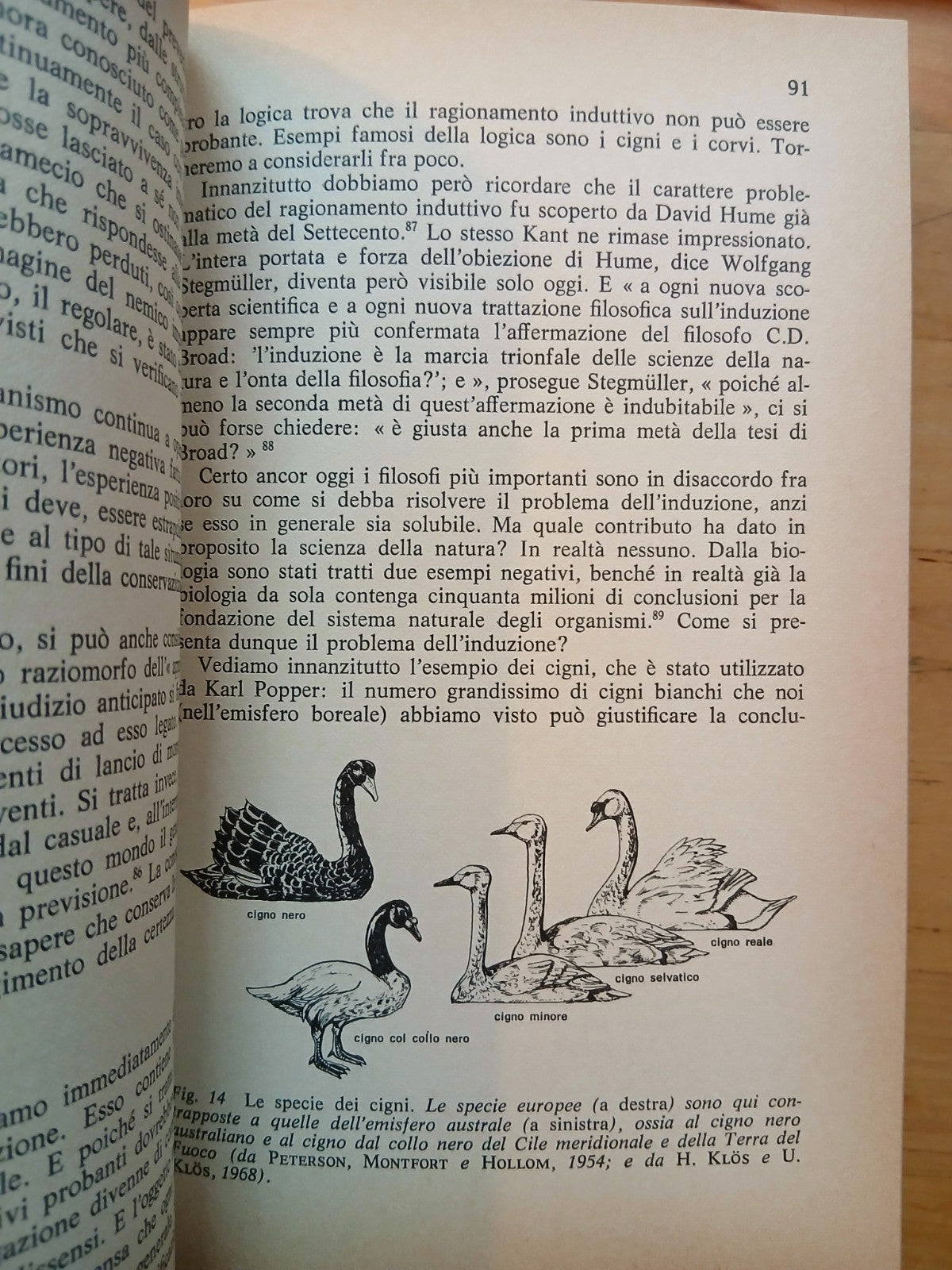 Biologia della conoscenza. Rupert Riedl. I fondamenti evoluzionistici, Longanesi